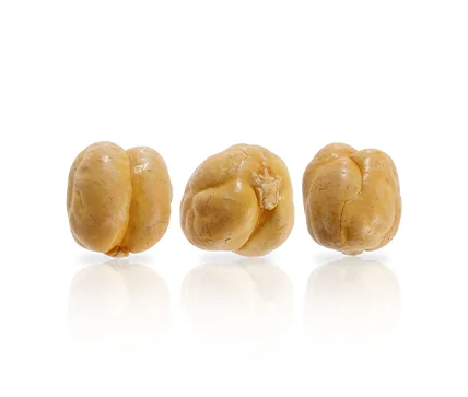 chickpea