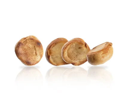 chickpea