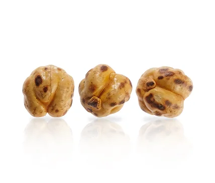 chickpea