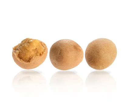 chickpea