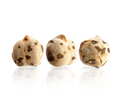 chickpea