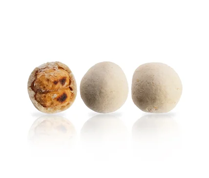 chickpea