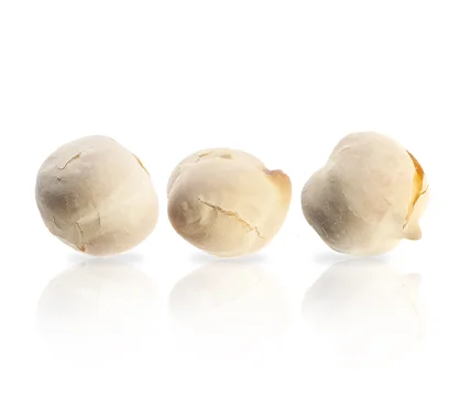 chickpea