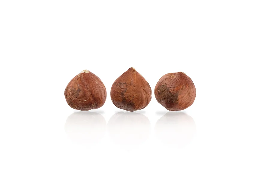 hazelnut wholesale