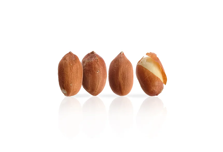 peanut wholesale