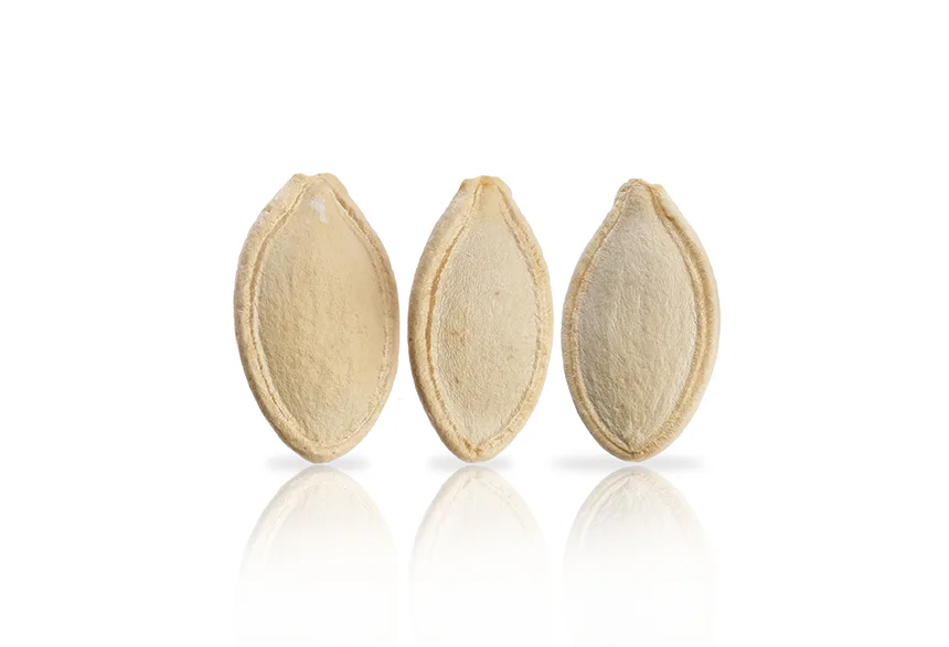 pumpkin seed wholesale.webp