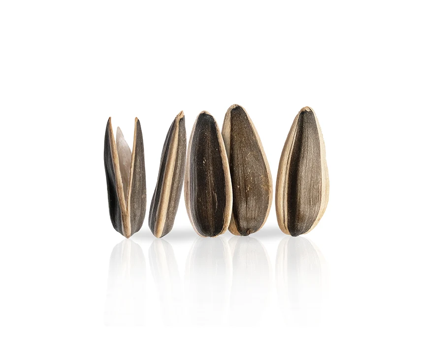 raw black sunflower seeds