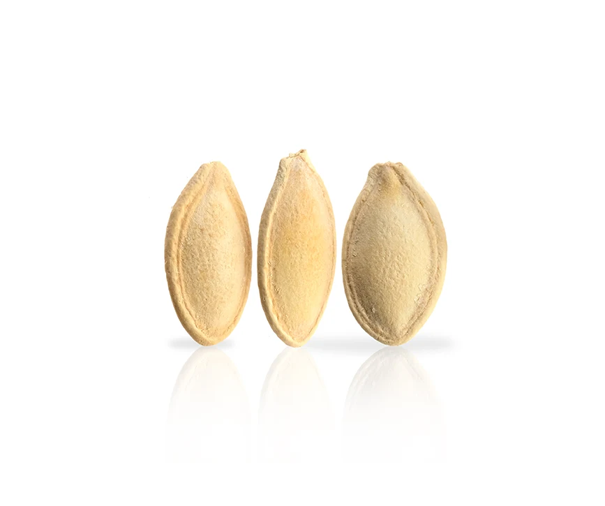 roasted and salted pumpkin seeds