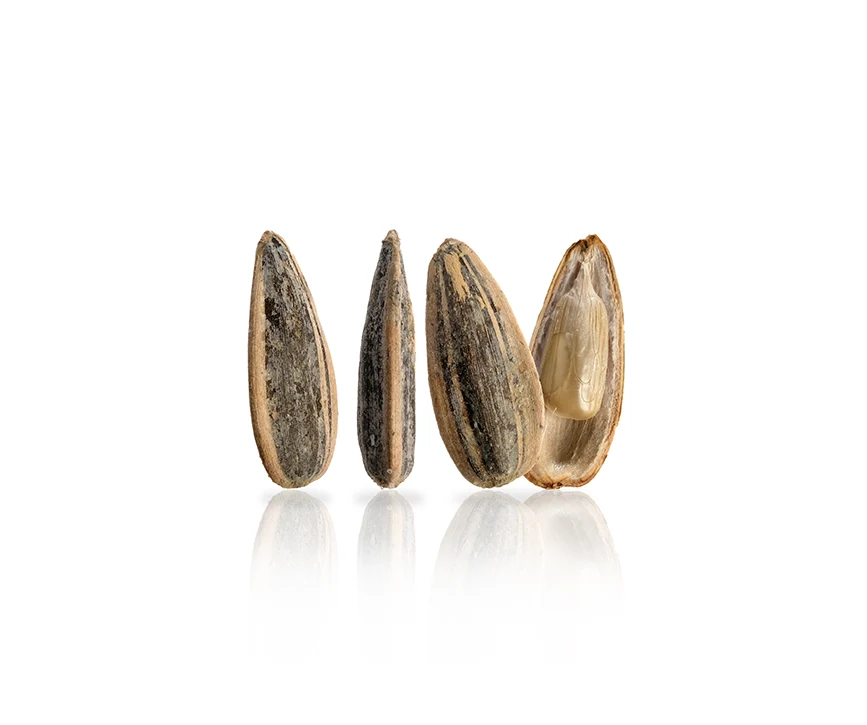 roasted black sunflower seeds