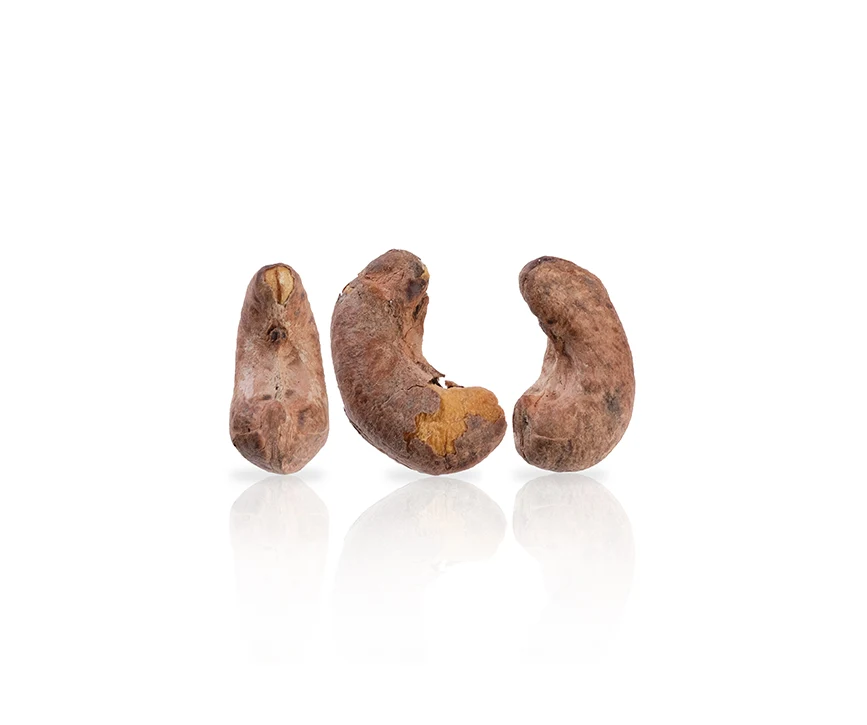 roasted shell cashew