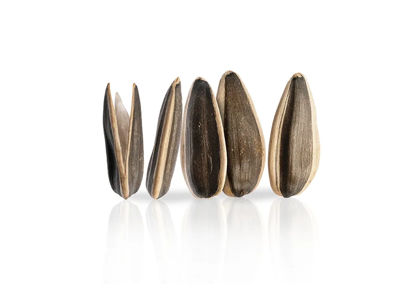 sunflower seeds wholesale